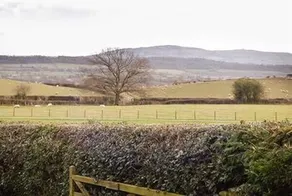 Little Homefield - Image 4