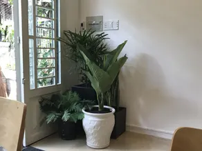 Ace Home Viet Nam - Image 3
