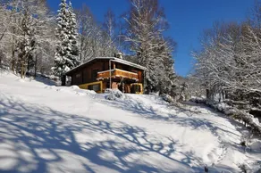 Paradis - Sud Vosges : chalet de vacances - Région Gérardmer Apartment 3 - Image 4