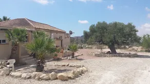 Mas del Conill - Image 4