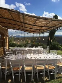Verdidea Prugnolo - Image 2