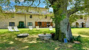 Spoleto Biofarm - Image 4