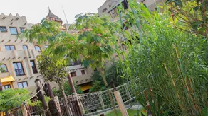 Hotel Matamba - Image 5