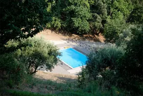 Tenuta Viggiani - Image 4