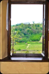 Agriturismo C'era Una Volta - Image 3