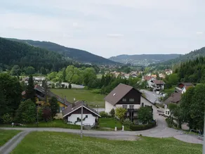 Magnifico appartamento adatto alle famiglie con giardino e barbecue | Vista sulla montagna | Accetta animali domestici - Image 3