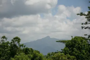 Kandyan Glory Holiday Home - Image 5