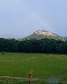 Le Domaine Mas De Louise - Image 4