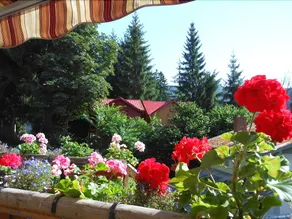 Pension La Teleferic - Image 4
