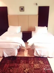 Delmon Hotel Suites - Image 3