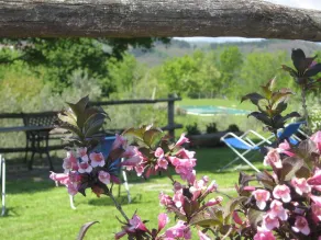 Agriturismo Al Vecchio Tino - Image 5