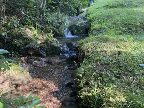 Serenity Creek - Image 4