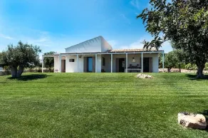 Isla Verde - Ulivi - Image 5