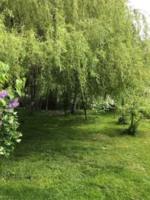Gîte Les Lilas - Image 4