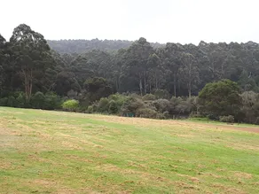 Walpole Wilderness Resort - Image 3
