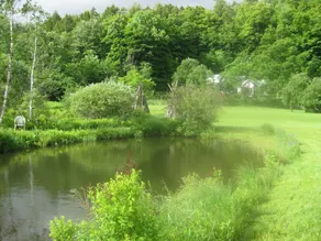Mountain Valley Retreat - Image 4