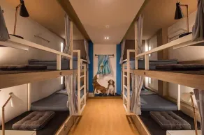 Stay With Hug Poshtel & Activities - Image 5