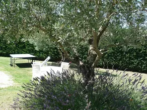 Villa Coda - Image 2