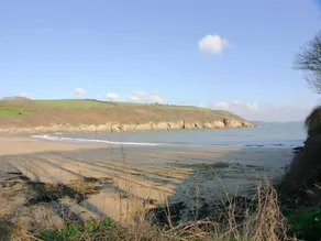 Oak - Image 5