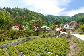 Gapyeong Sumswineun Gorae Glamping - Image 2
