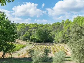 Beautiful Holiday Villa With Privat Pool Surrounded by Vineyard in Entrecasteaux - Image 3