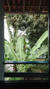 Odoya Hostel - Image 3