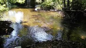 Plitvice Mountain Spring - Image 5