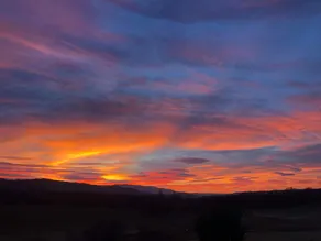 Paradise Love in Provence - Image 4