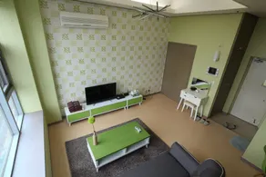 The Haru - Image 4