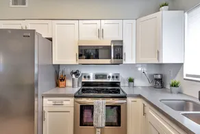 2 Bedroom Buena Vista By LMC - Image 4