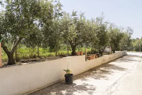 Villa Palma - Image 2