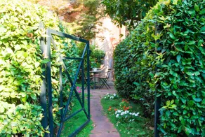 The Palatine Garden II - Image 4