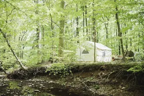 Tentrr - Creekside Woods Getaway - Image 3