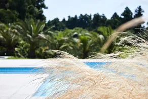 Laotzu Resort - Image 5