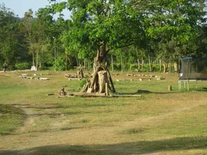 Vine Woods Resorts - Image 2