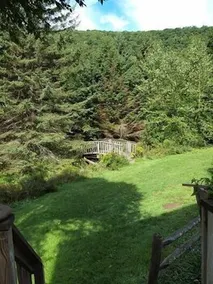 Cold Spring Lodge & Cabins - Image 5