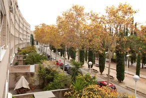 Alcam Moscu - Image 3