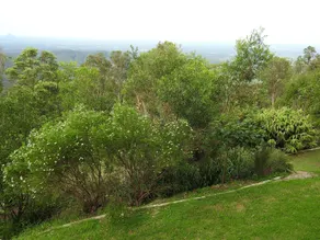 Misty Range - Image 3