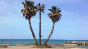 Castellabate at the Sea - Image 4