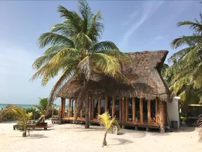 Rhincodon Typus Glamping - Image 3