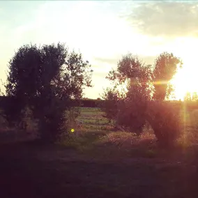 Agriturismo L'Annunziata - Image 3