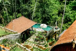 Jungle Lotus Villas - Image 3