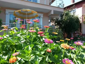 Ada Yaz Evleri - Image 4