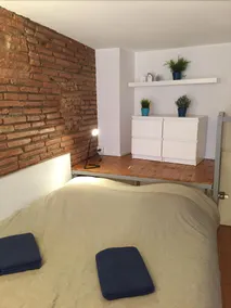 Le petit Moulin, duplex hypercentre Toulouse - Image 2