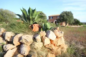 Can Cotoneta - Image 3