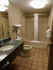 Quality Inn & Suites Skyways - Image 2
