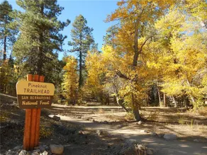 Bear Family Ranch - Image 2