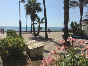 Studio Torrox Costa Andalusien - Image 3