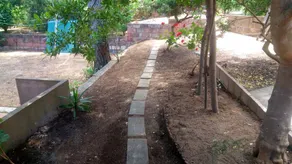 Green House-Woods And Beaches - Image 5