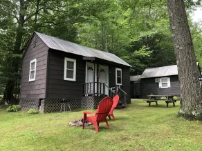 The Lake George Bear's Den - Image 3